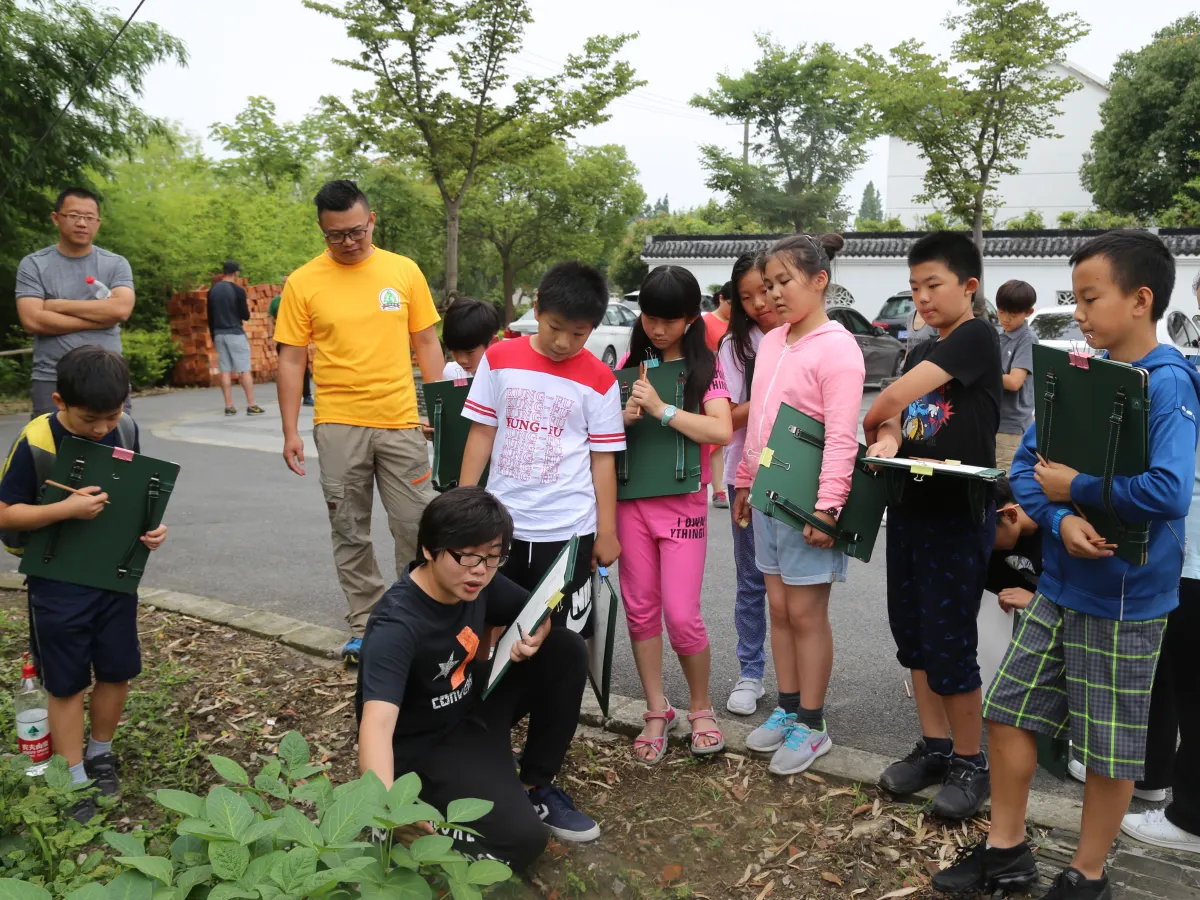 孩子们在乡村参加自然观察活动