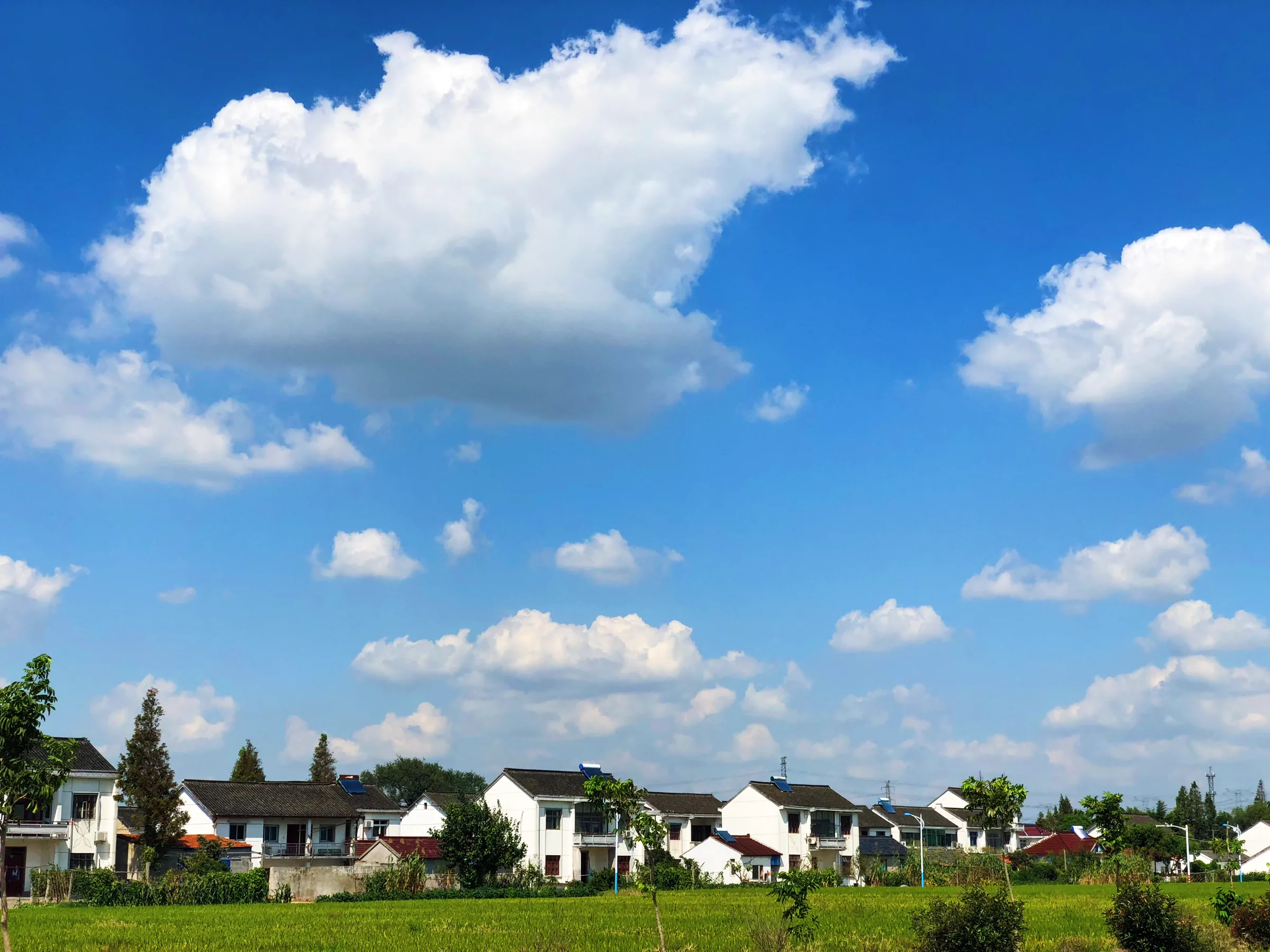 张马村田野与村庄